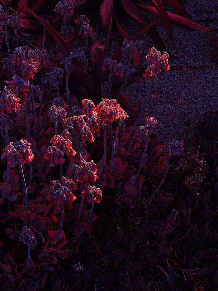 Collection 52 photo by Pavlo Kyryliuk