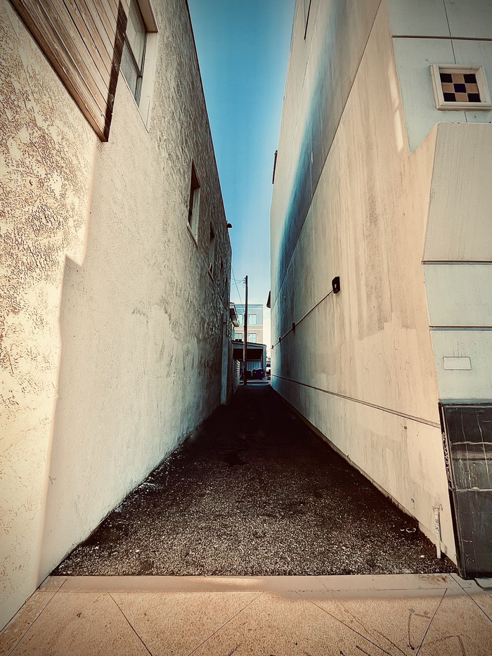 Collection 89 photo by Cam Green