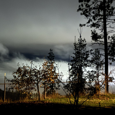 Photo de galerie 2