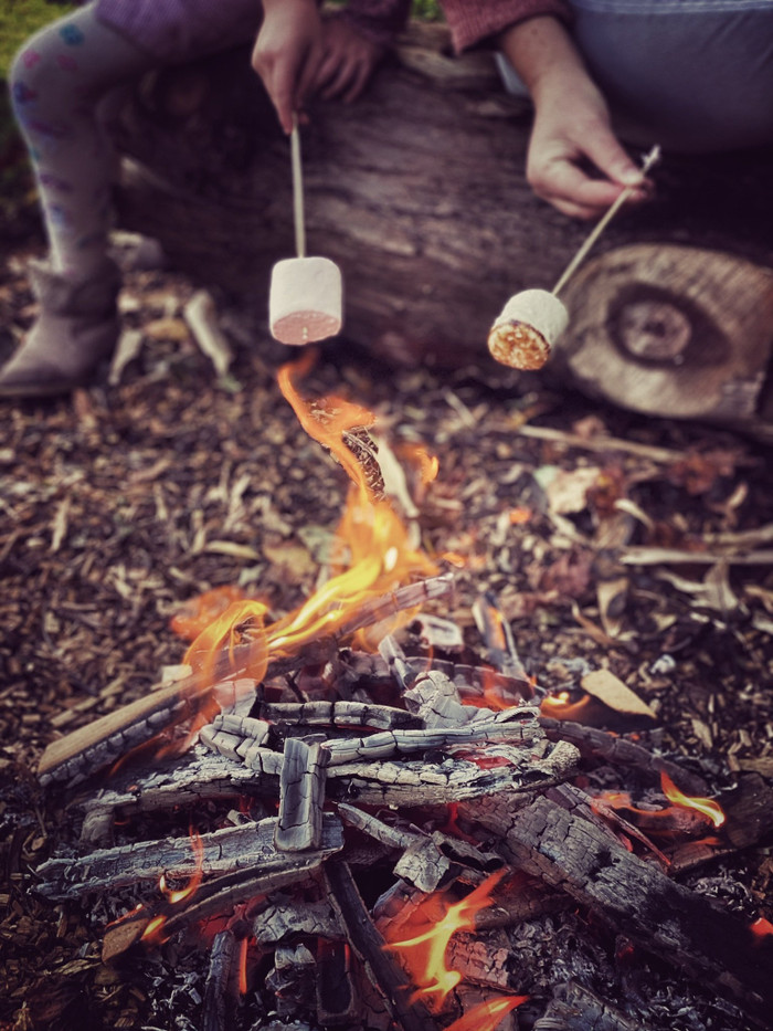 Collection 39 photo by Abbie Asadi