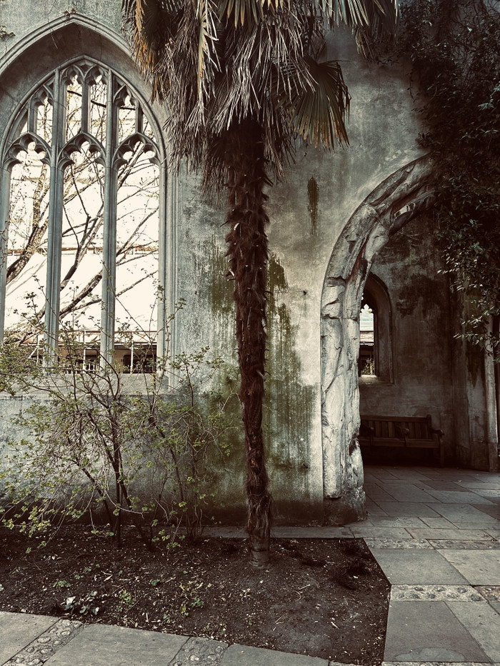 Collection 93 photo by Abbie Asadi