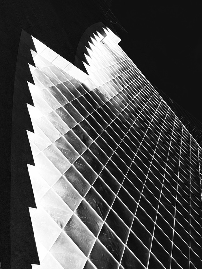 Collection 104 photo by Dorie Adams
