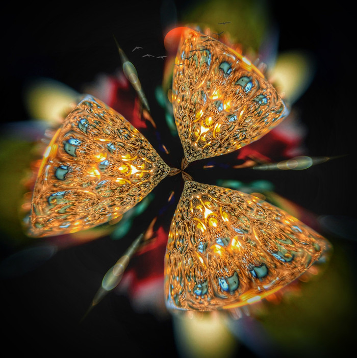 Collection 35 photo by Naveen Aggarwal