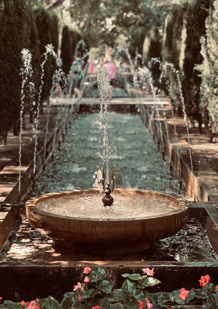 Collection 88 photo by Abbie Asadi