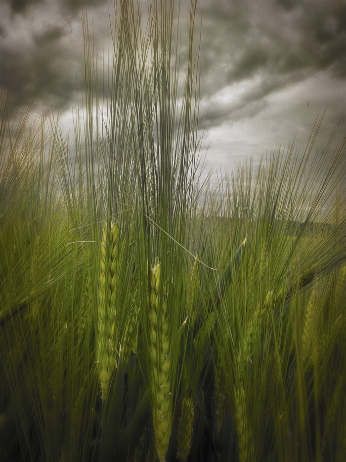 Collection 57 photo by Paulo Fernandes