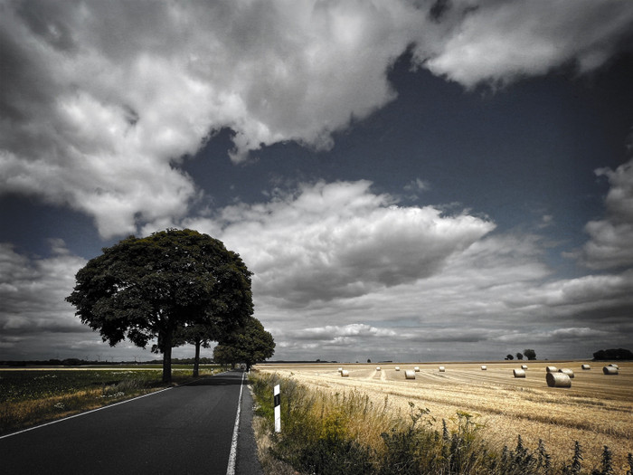 Collection 60 photo by Paulo Fernandes