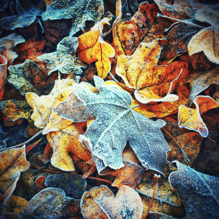 Collection 5 photo by Irina Pasin