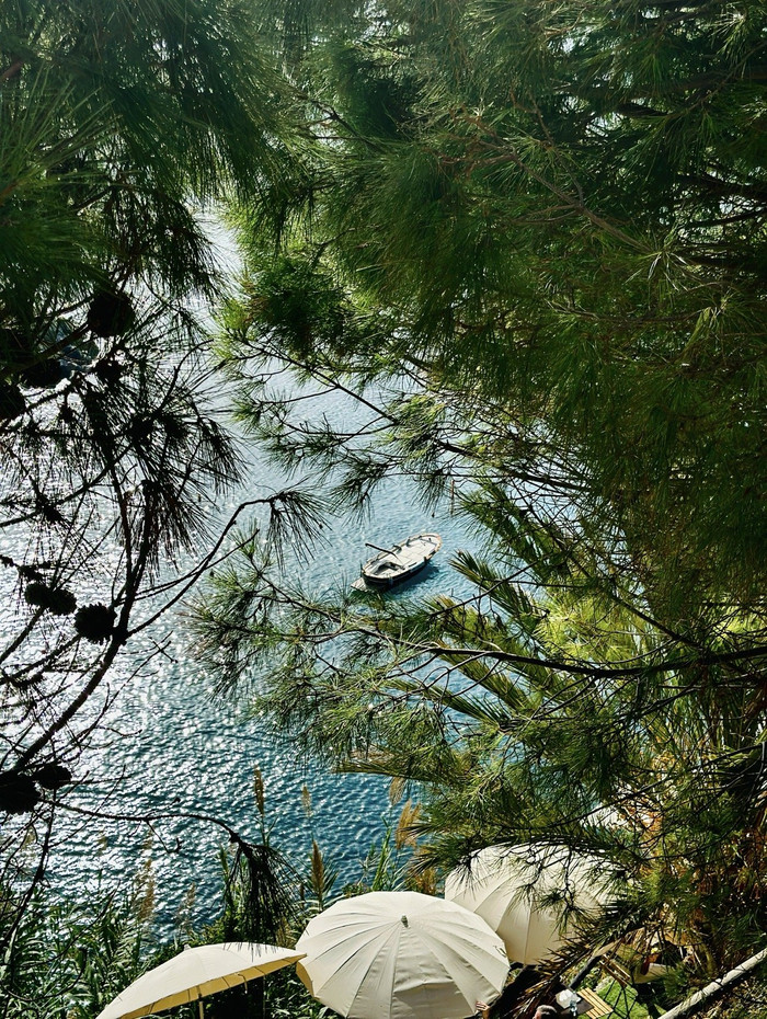 Collection 97 photo by Abbie Asadi