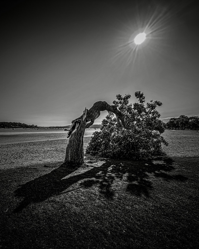 Collection 106 photo by Jennifer Newitt