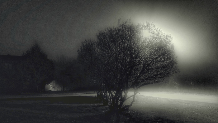 Collection 66 photo by Dianne Mccarthy