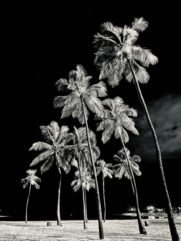 Collection 92 photo by Cam Green