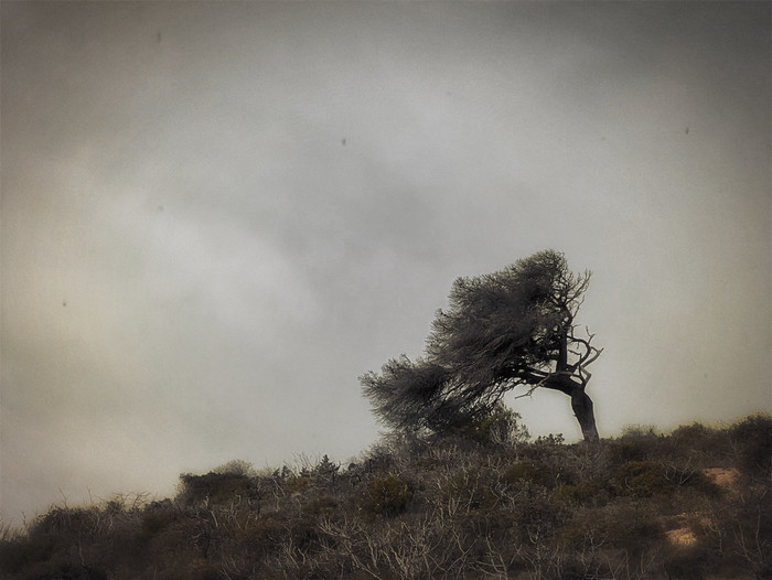 Collection 56 photo by Paulo Fernandes