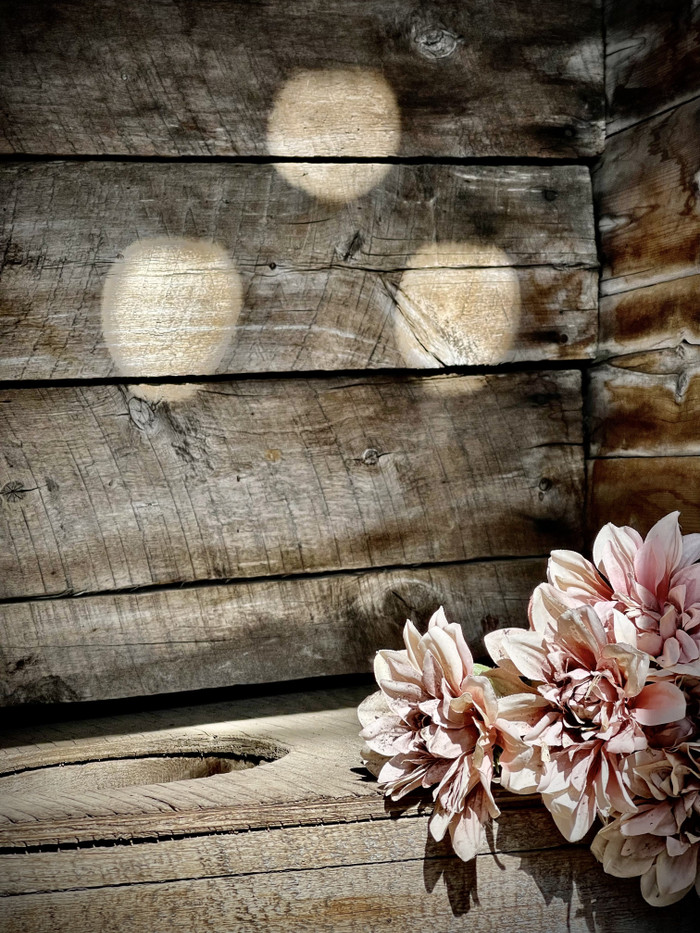 Collection 68 photo by Sheree Zielke