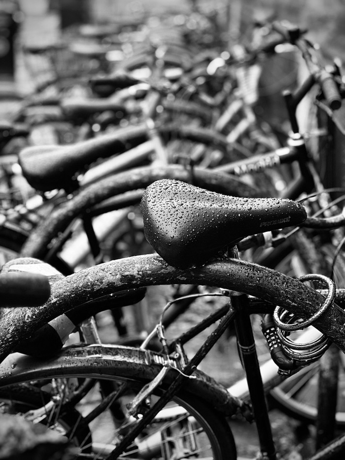 Collection 67 photo by Abbie Asadi