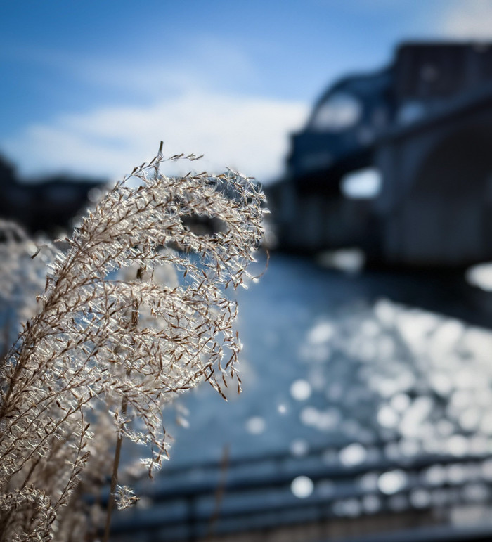 Collection 101 photo by Sandi Asplund