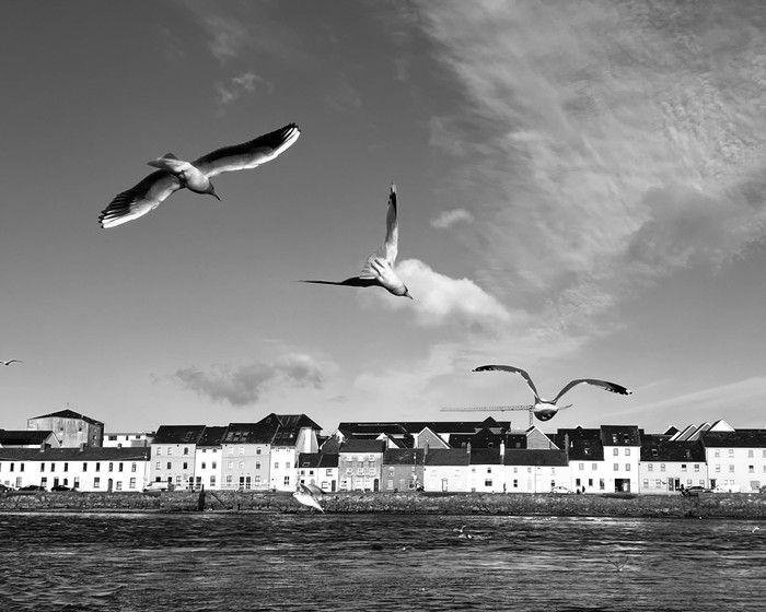 Collection 77 photo by Anita Stimac