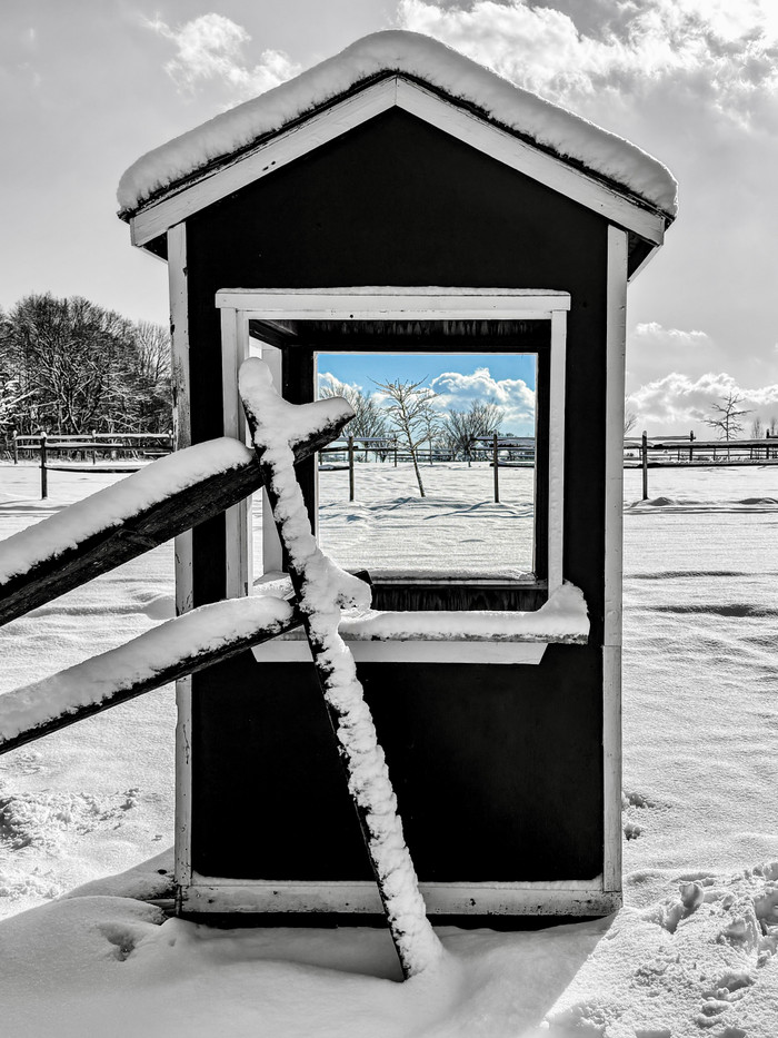 Collection 101 photo by Jennifer Newitt