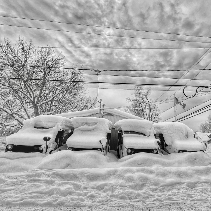 Collection 88 photo by Dianne Mccarthy