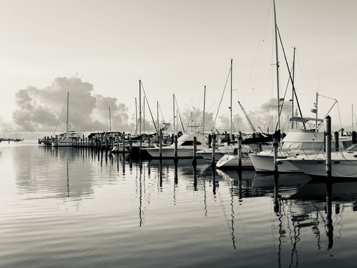 Collection 49 photo by Haydee Romero