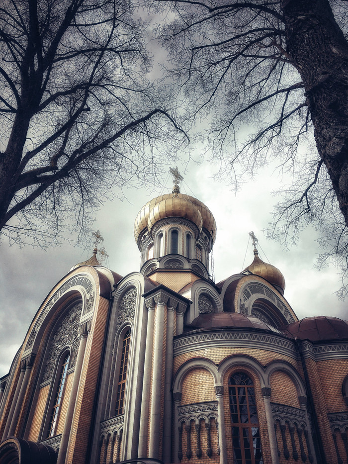 Collection 7 photo by Irina Pasin