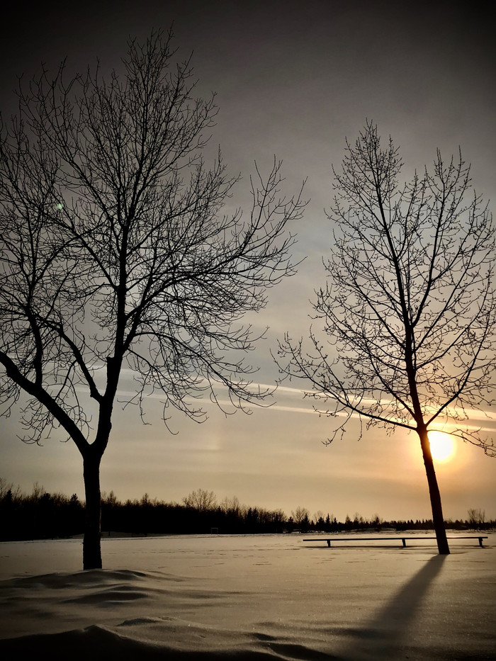 Collection 31 photo by Sheree Zielke