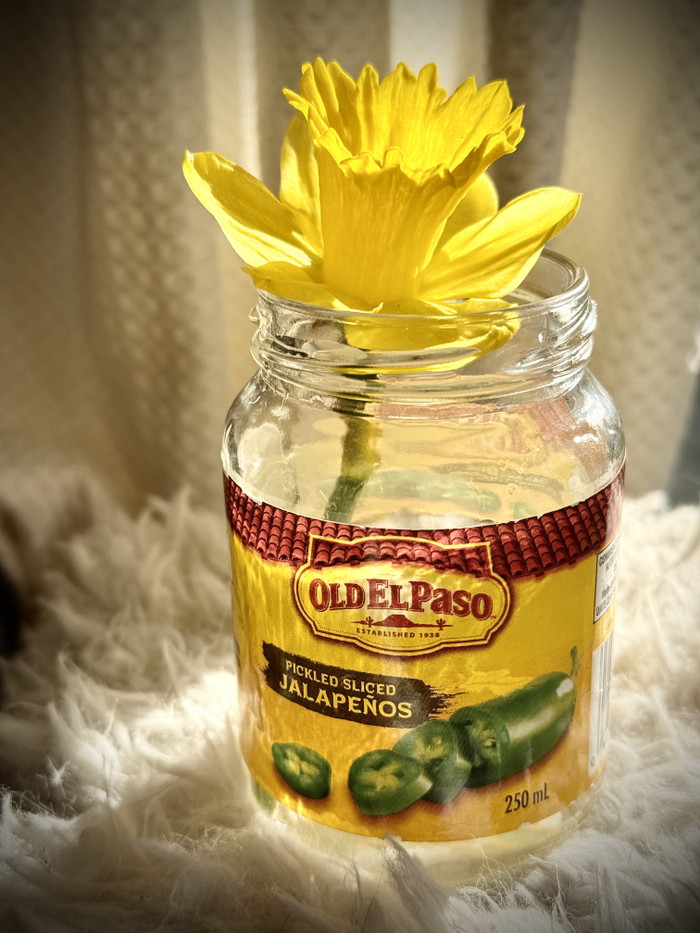 Collection 93 photo by Sheree Zielke