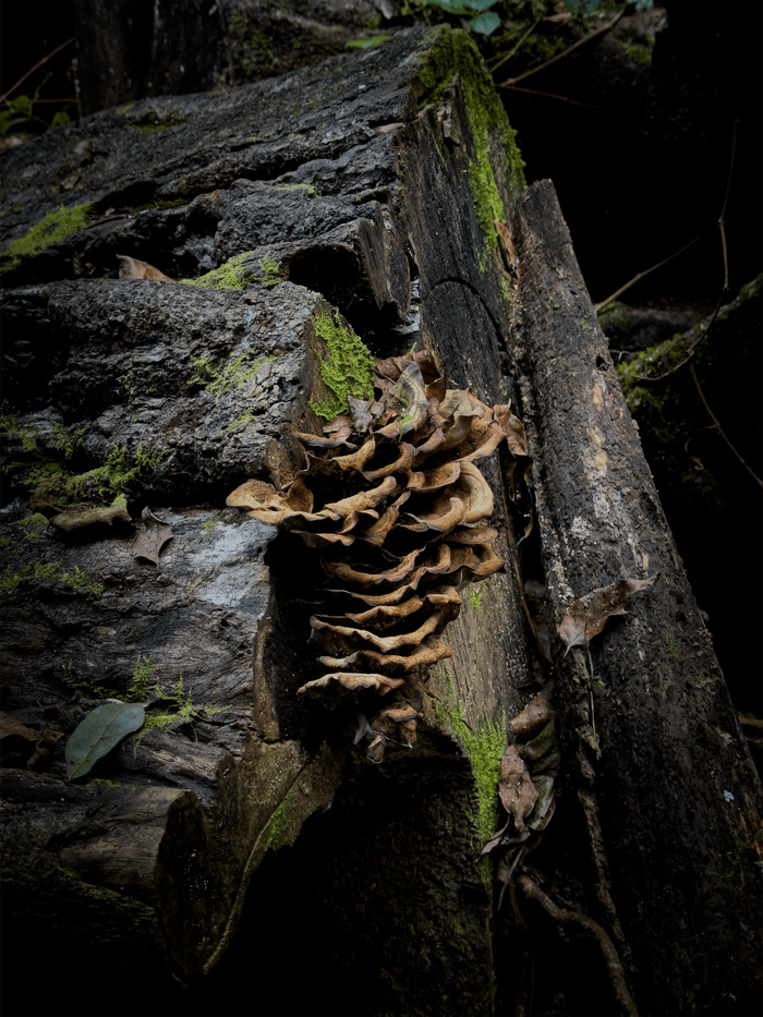 Collection 83 photo by Leonie Mccouat