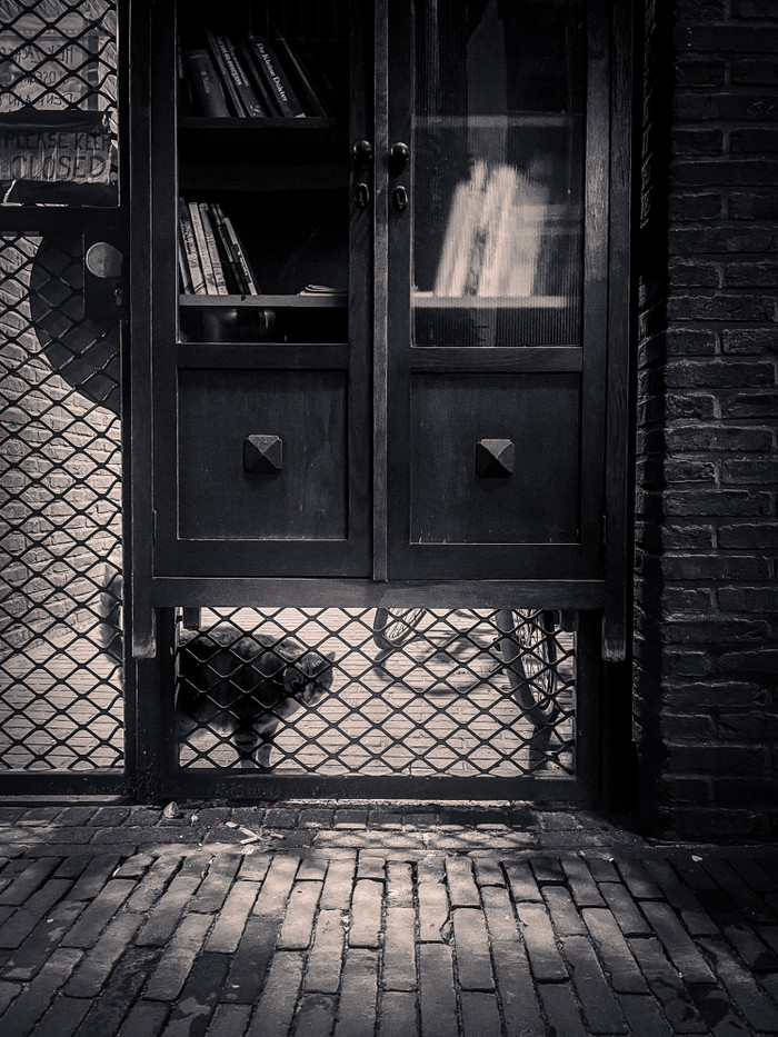 Collection 83 photo by Dewi Segers