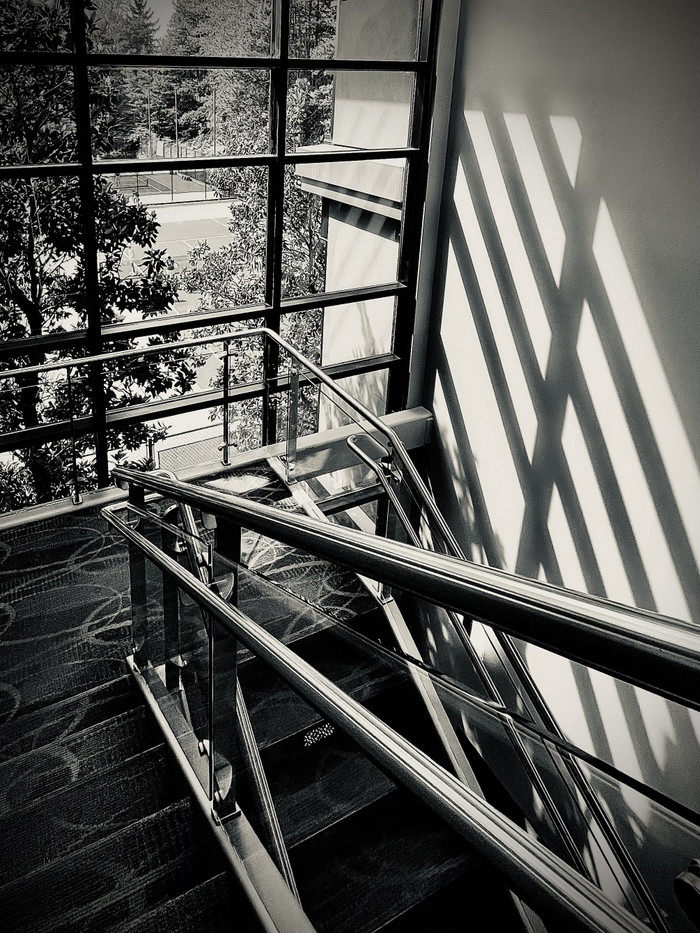 Collection 96 photo by Cam Green