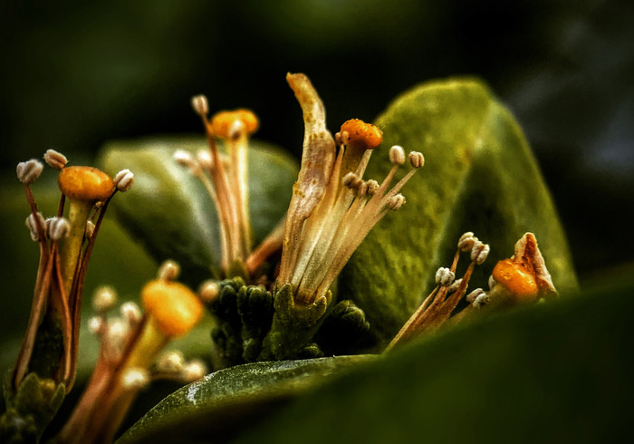 Collection 44 photo by Naveen Aggarwal