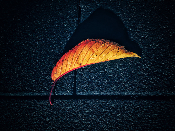 Collection 3 photo by Irina Pasin