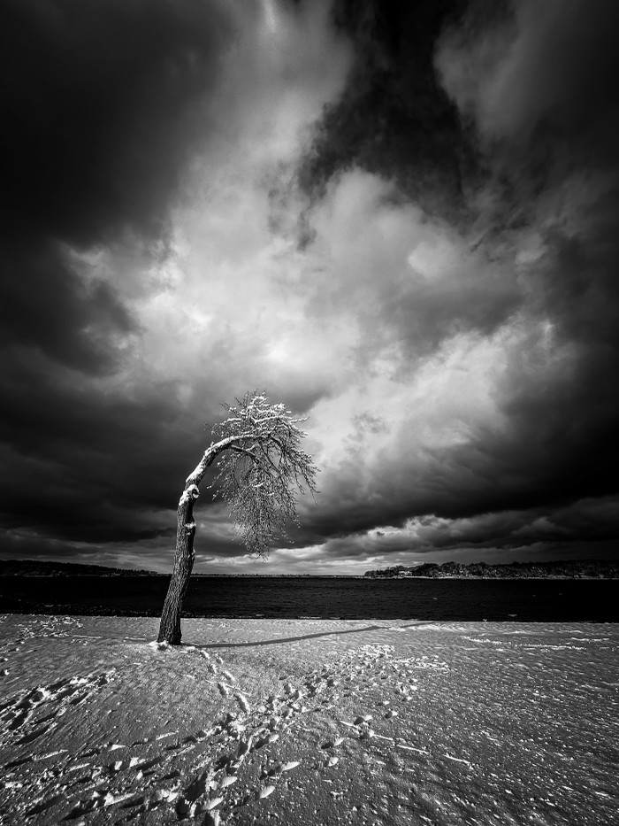 Collection 100 photo by Jennifer Newitt