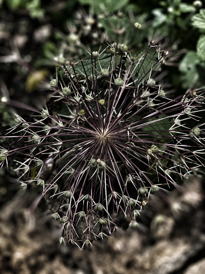 Collection 35 photo by Abbie Asadi