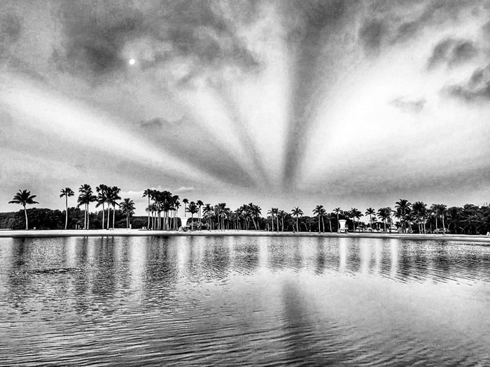 Collection 55 photo by Haydee Romero