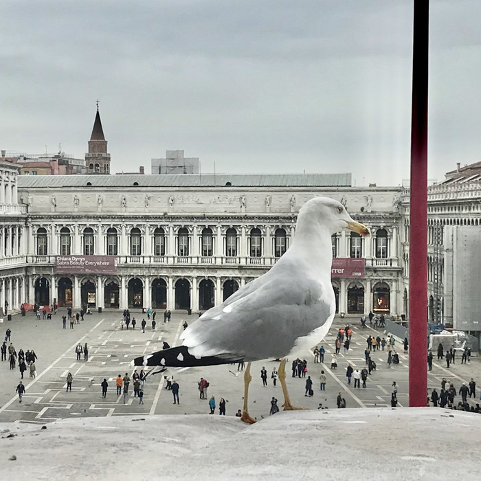 Collection 27 photo by Maurizio Zanetti