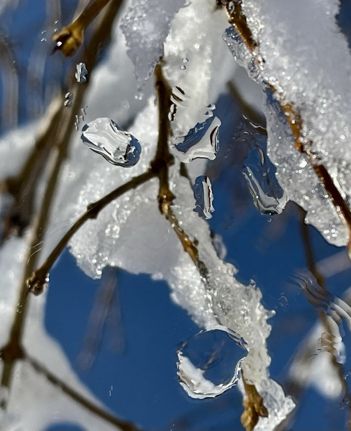 Collection 56 photo by Sheree Zielke