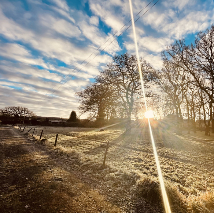 Collection 53 photo by Abbie Asadi
