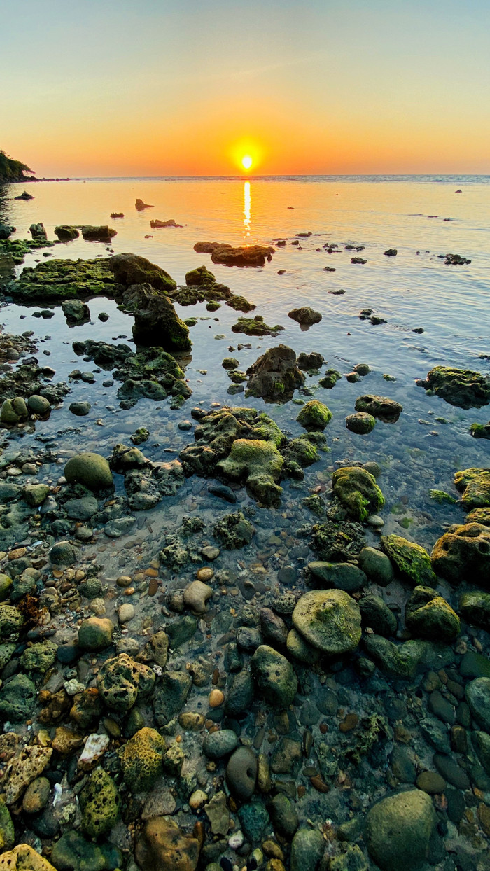 Collection 34 photo by Nelson Fajardo