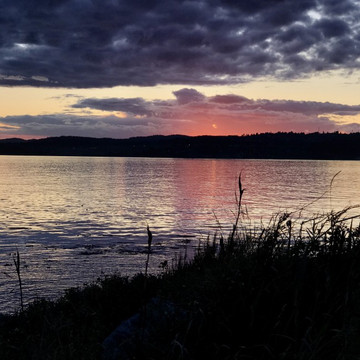 Zdjęcie w galerii 6