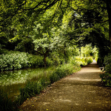 Cromford Canal - is historic 14.5 mile waterway in Derbyshire England, that opened in1794 to transport Lead and Iron ore. Now overgrown and not in use!