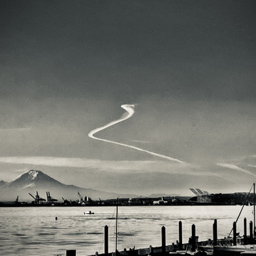 “Sky serpent.” Magnolia / Seattle, WA.