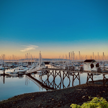 "Time to reflect." Elliott Bay Marina, Magnolia, WA.