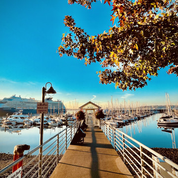 "Another drizzly Seattle day." Elliott Bay Marina, WA.