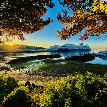 "Credit Mother Nature." Magnolia, WA.