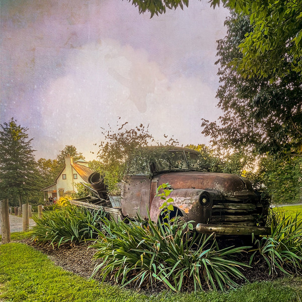 Sarah Kercheval — A discarded pick-up truck makes an interesting point of interest.
