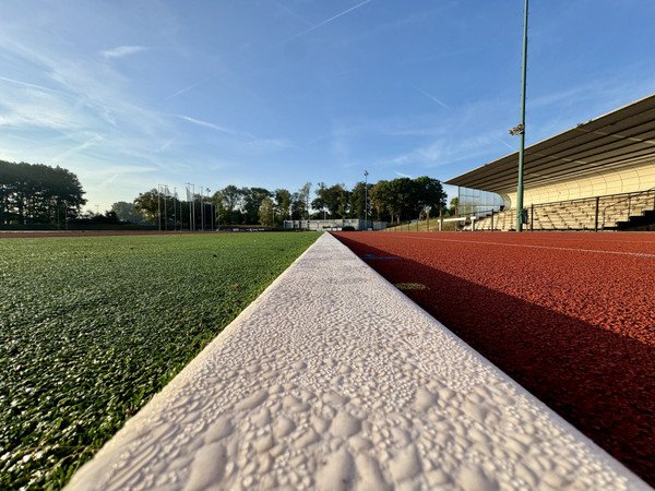 Lotje Pulles — Early morning run