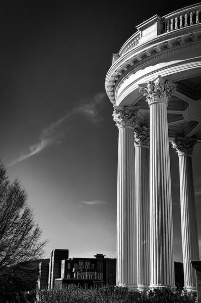 Collection 101 photo by Sandi Asplund