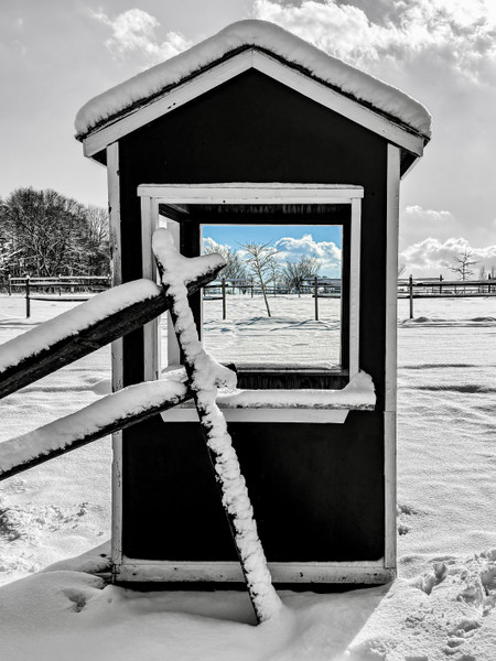 Collection 101 photo by Jennifer Newitt