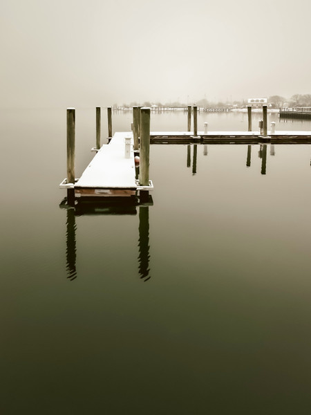 Collection 102 photo by Jennifer Newitt