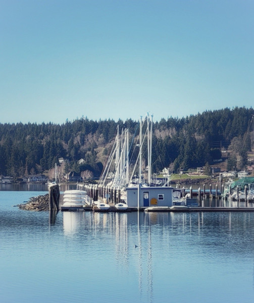 Pam Sproul — A sparkling view of the Poulsbo Yacht club sailing dinghys

“Yacht Club Dingy view”-2026